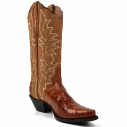Brand new 😍 Dan Post 👩 Women's Eel Peanut Exotic Western Boot - Snip Toe Brown 🧨