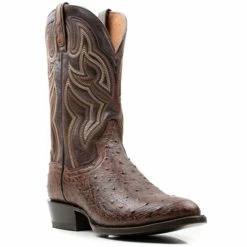 Brand new 🧨 Dan Post 👩 Women's 12" Hand Quill French Exotic Western 🥾 Boots Rust Copper ⭐